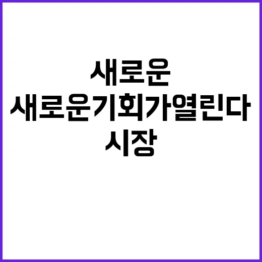 한류 일본 시장의 …