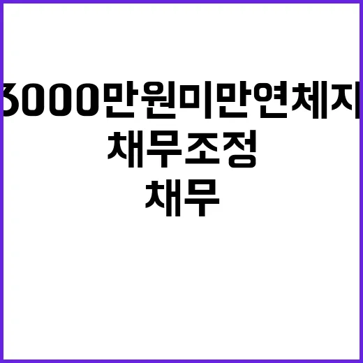 채무조정 3000만…