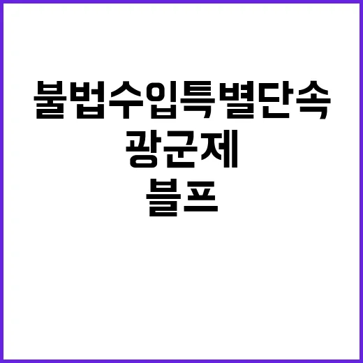 불법수입 특별단속 …