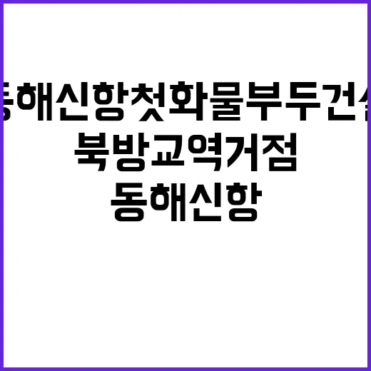 동해신항 첫 화물부…