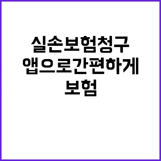 독도 바뀐 가사 알…