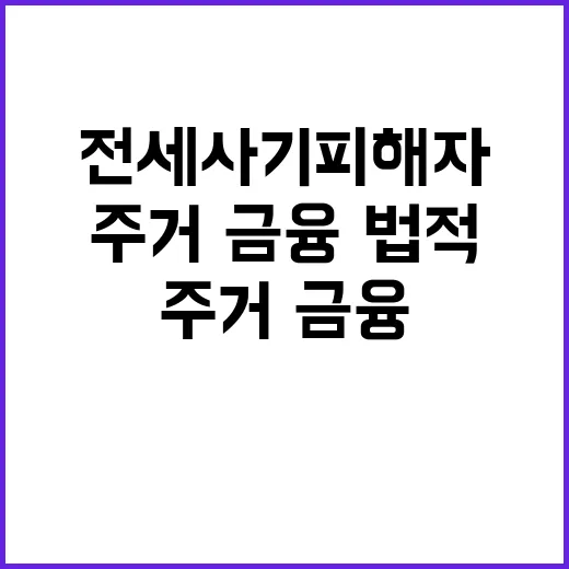 전세사기피해자 지원…