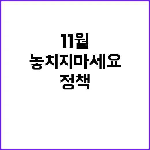 11월 정책 변화 …