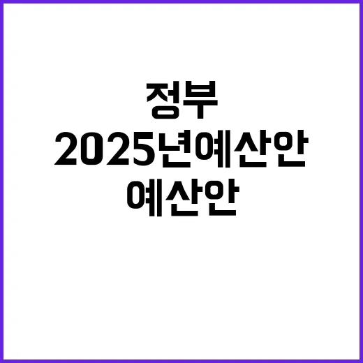 2025년 예산안 …