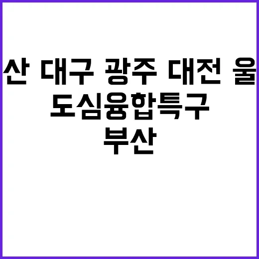 부산·대구·광주·대…