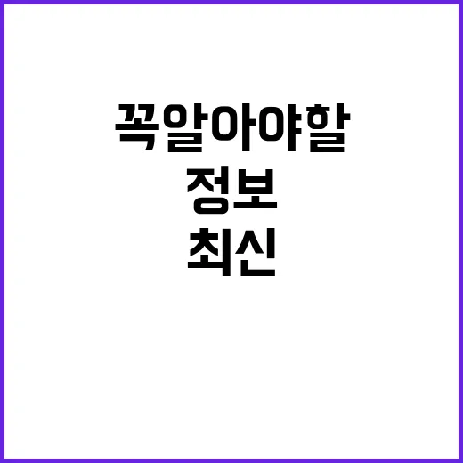 약자복지 꼭 알아야 할 최신 정보 공개!