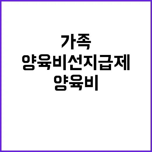 양육비 선지급제 행…