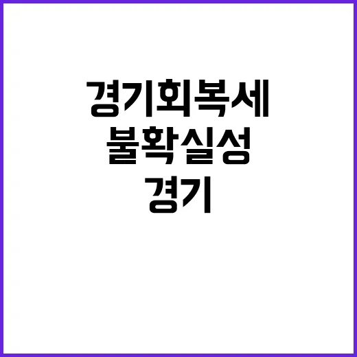 경기회복세 불확실성…