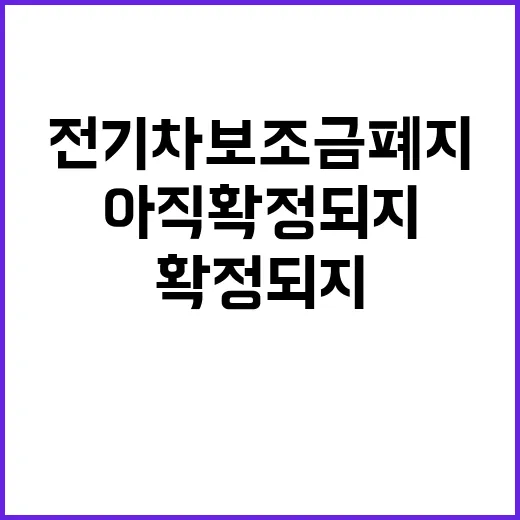 전기차 보조금 폐지…