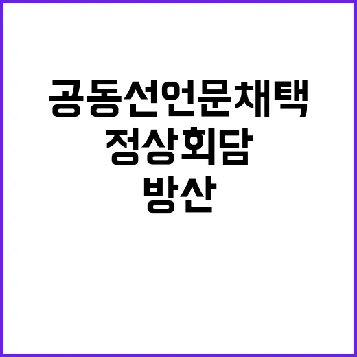 정상회담 방산·인프…