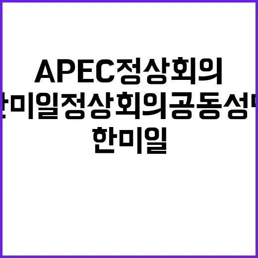 APEC 정상회의 …