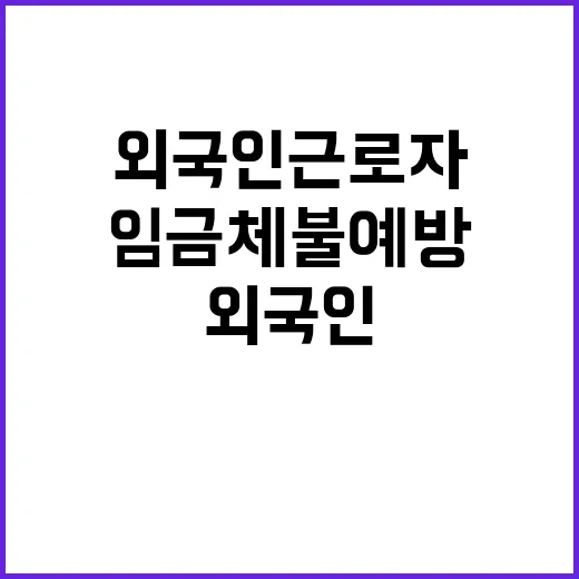 임금체불 예방 고용부의 외국인 근로자 보호 솔루션!