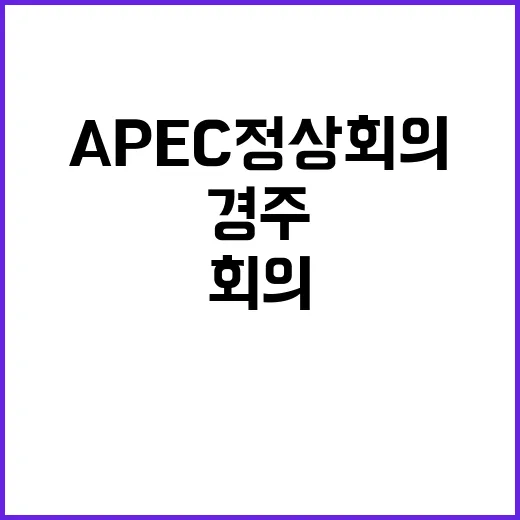 APEC 정상회의 …