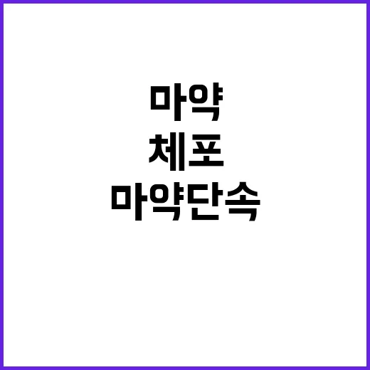 마약 단속 지난해 …