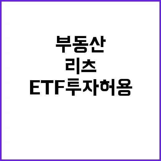 ETF 투자 허용 …