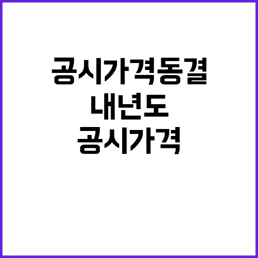 공시가격 동결 내년…