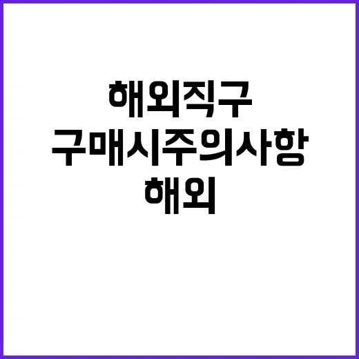 “연말 해외직구 구…