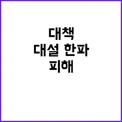 대설·한파 범정부 …