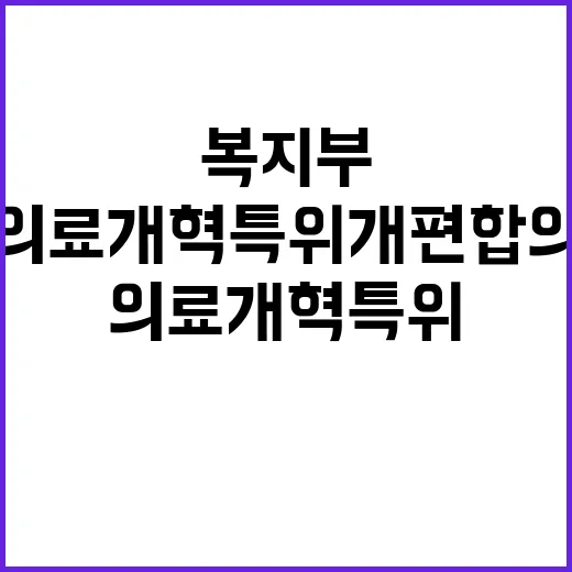 복지부 의료개혁특위…