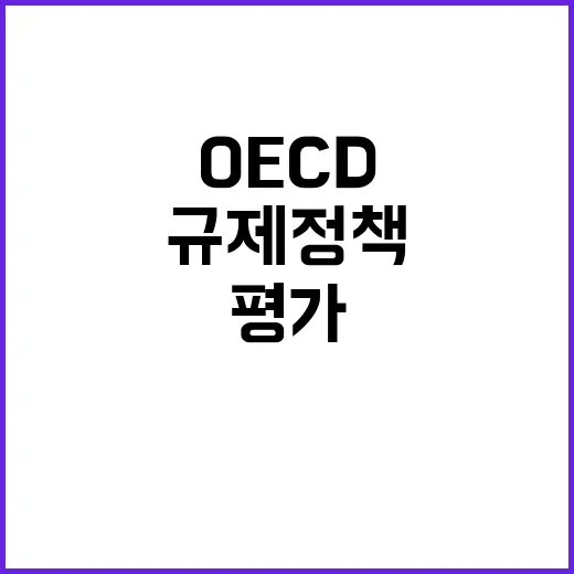 OECD 1위 평가…