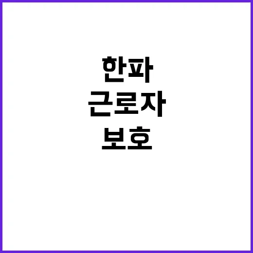 한파 보호대상 외국…