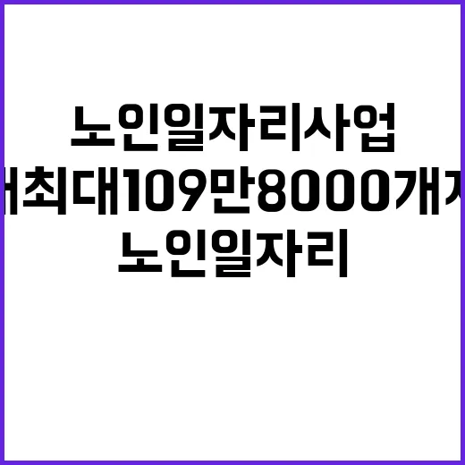 노인일자리 사업 역…