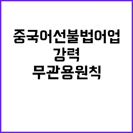 중국어선 불법 어업…