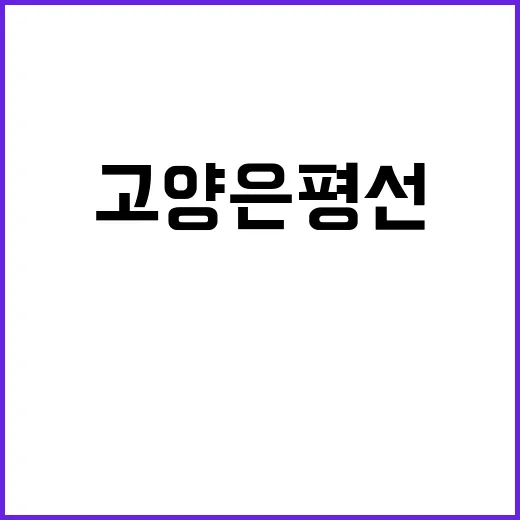 고양은평선 개통 2…