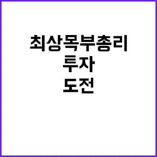 투자 최상목 부총리 도전요인 돌파구 강조!