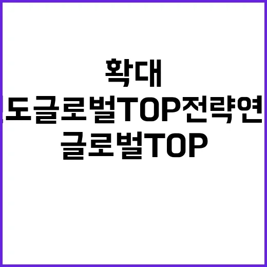 지원 확대 내년도 글로벌 TOP 전략연구단 예산이 눈길!