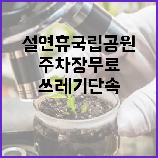 설 연휴 국립공원 주차장 무료 개방 쓰레기 단속 강화!