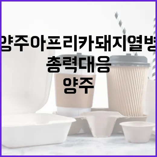 양주 아프리카돼지열병 확산 차단 총력 대응!