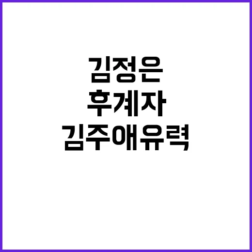 김정은, 새로운 약…