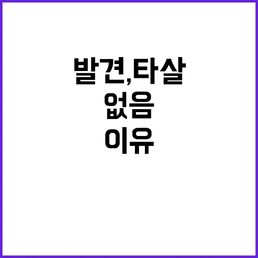 시신 발견, 타살 혐의점 없음…어떤 이유일까?