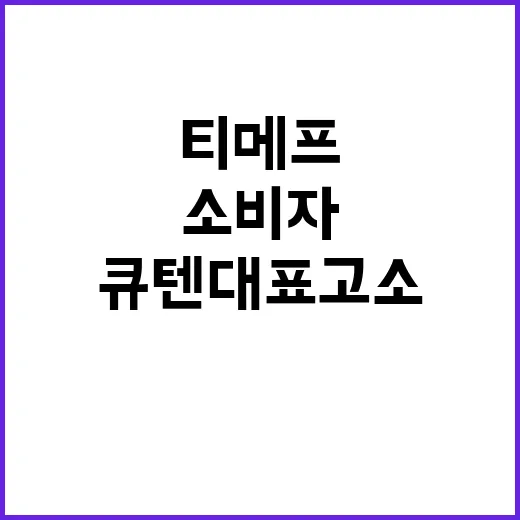 티메프 소비자, 큐…