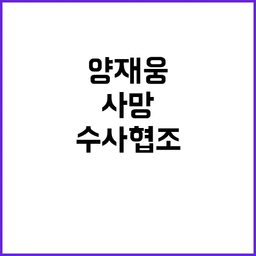 사망사고, 양재웅의…