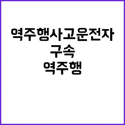 역주행 사고 운전자…