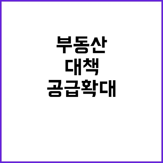 정부, 부동산 공급확대 대책 발표! 투기 잡기?