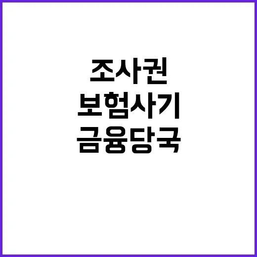 보험사기 조사권, 금융당국의 강력한 수사 의지!