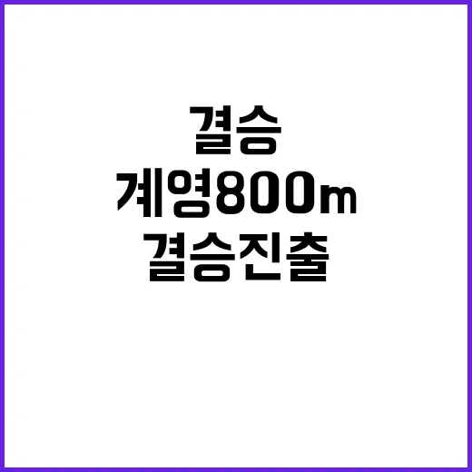 결승 진출! 남자 계영 800m의 역사적 아이템