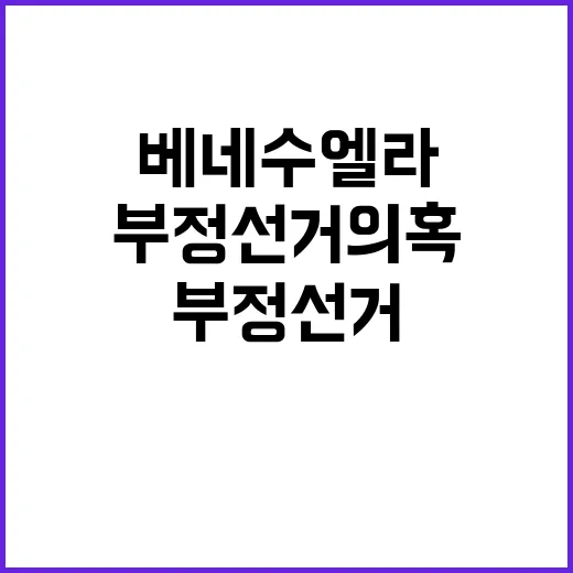 부정선거 의혹, 베…