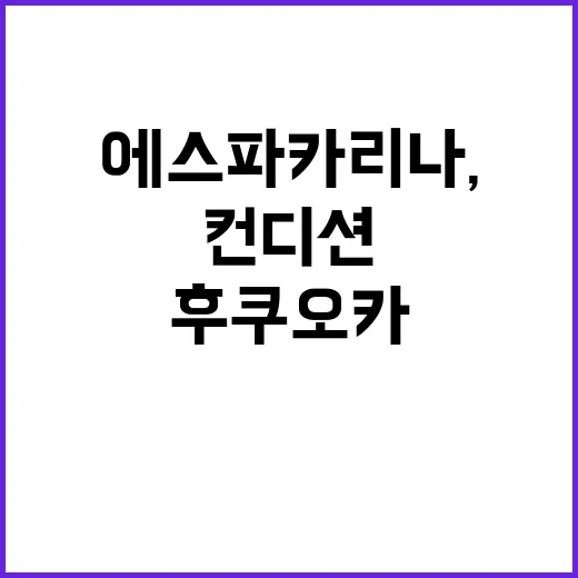 ‘컨디션 악화’ 에스파 카리나, 왜 후쿠오카 불참?