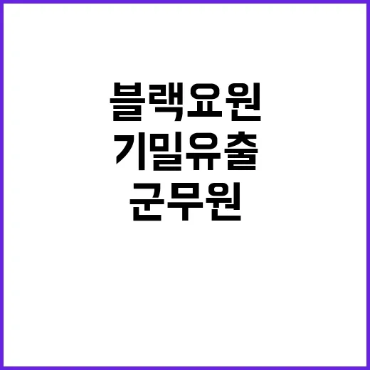 블랙요원 기밀 유출, 군무원 6월 인지 사실!