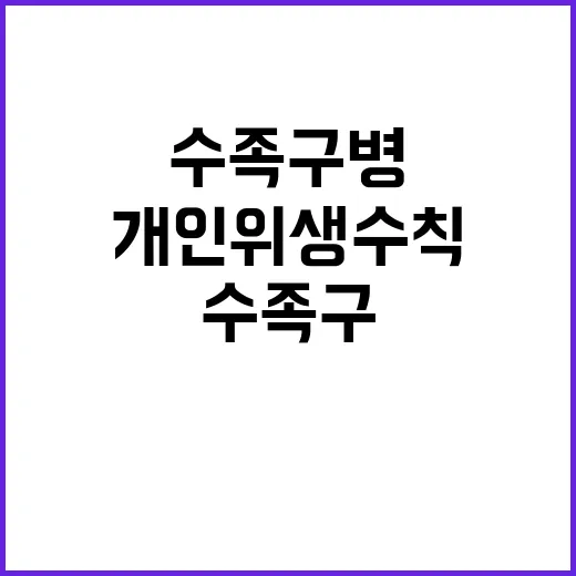 수족구병, 개인위생 수칙 철저히 지켜야 하는 이유!