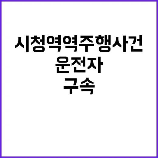 서울 시청역 역주행…