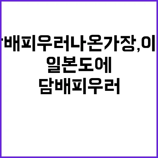 탁구장 태극기, 인…