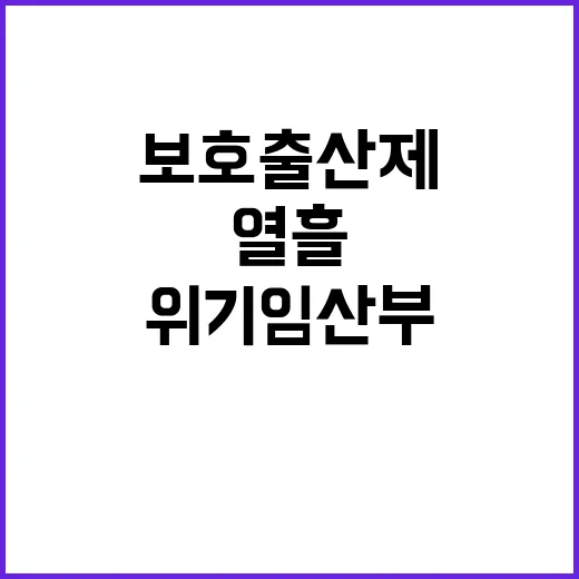 위기임산부 지원, 보호출산제 효과 첫 열흘!