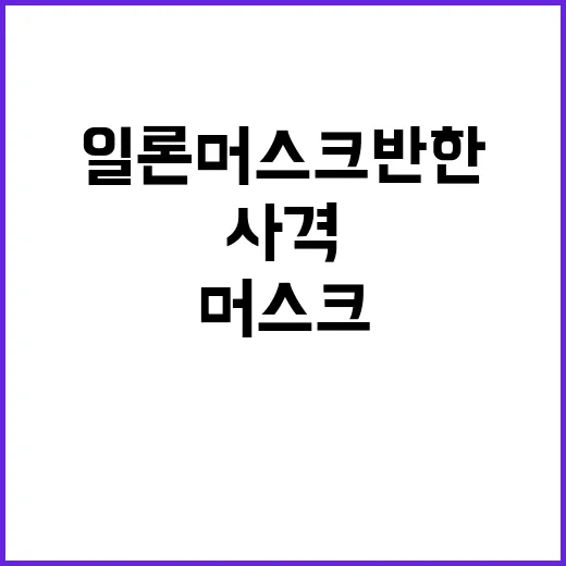 한국 사격, 일론 …