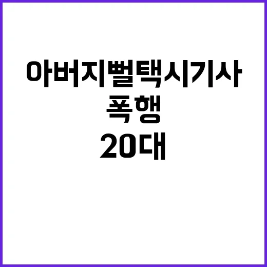 폭행 사건 20대 유튜버, 아버지뻘 택시기사 공격!