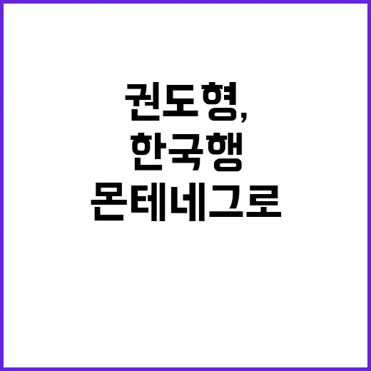 ‘오륜기 안경’ 임…